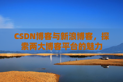 CSDN博客与新浪博客，探索两大博客平台的魅力